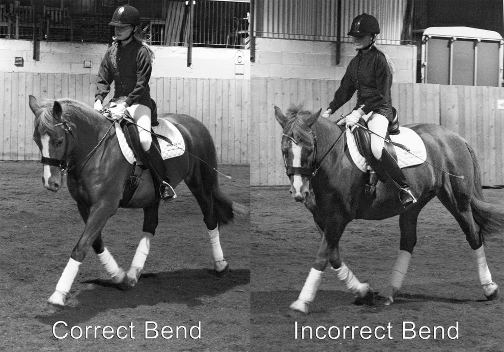 STEERING THE HORSE CORRECT DRESSAGE TRAINING Dressage Training TV