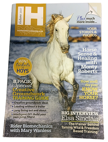 IH Mag Cover