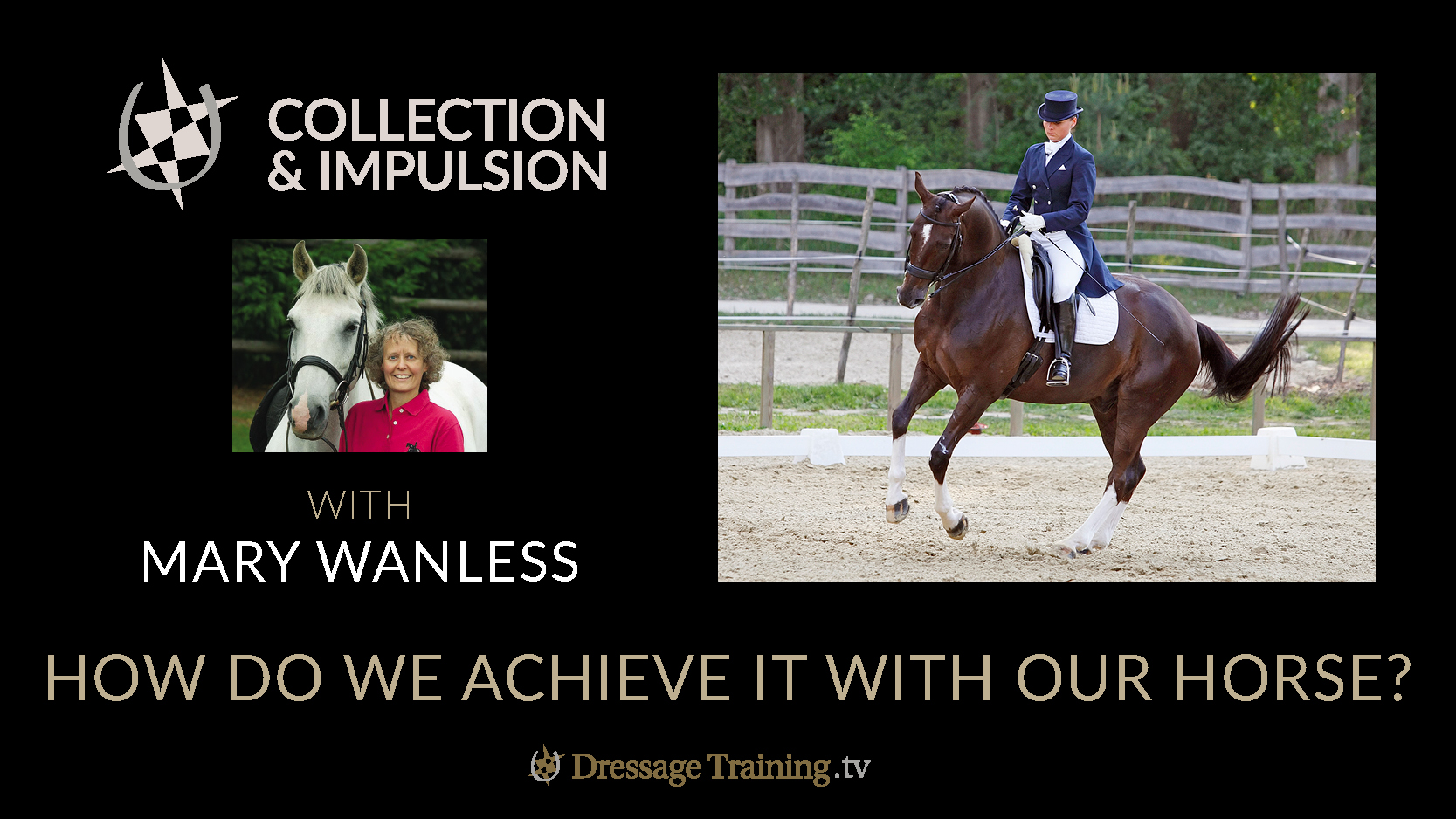 New Mary Wanless Course Collection and Impulsion