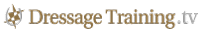 DTtv_Logo_Long-22