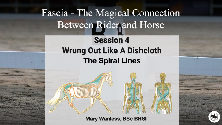 The Magical Connection Session 4