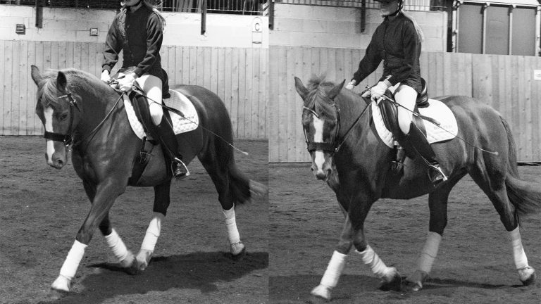 11046573_320168498130103_8795623605821769587_o