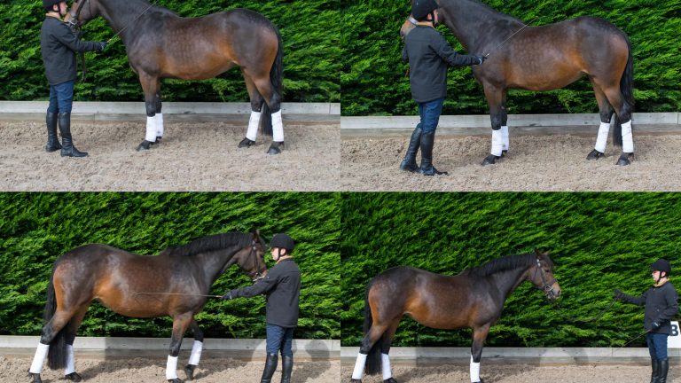 12034366_409744715839147_5762449690929384360_o