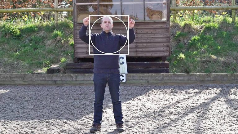 13268391_10153880032114219_8853775720295447247_o