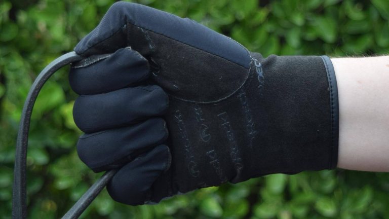 13731934_526891867457764_6193698144277699052_o