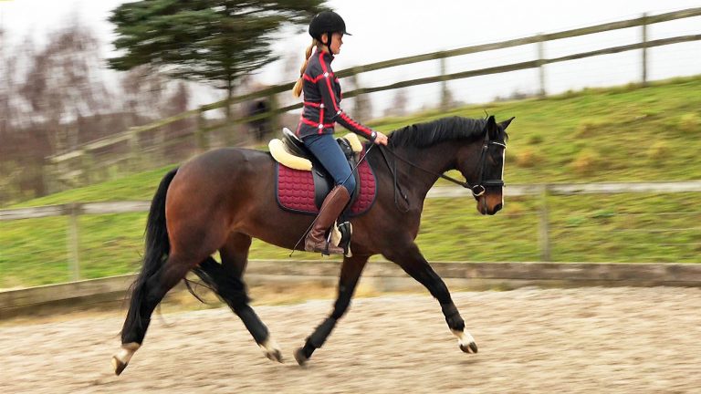 15591395_606338942846389_7326435714042789512_o