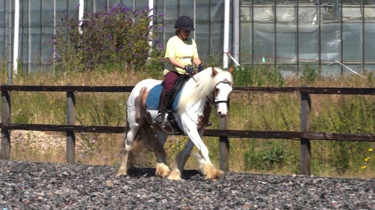 CC-S002-RLR-nav-block