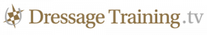 DTtv_Logo_Long22