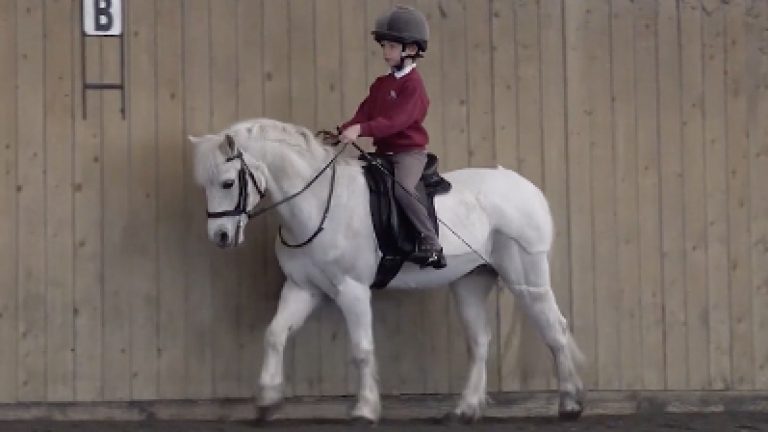 Edward-and-Mr-Muffty