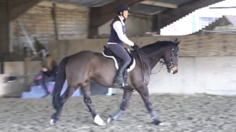 G2G_George_2_Nav_block