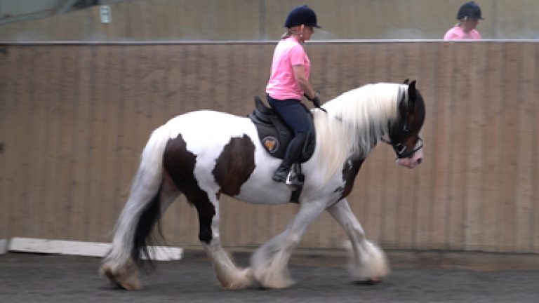 GTG-S&CAR-2_Nav_block