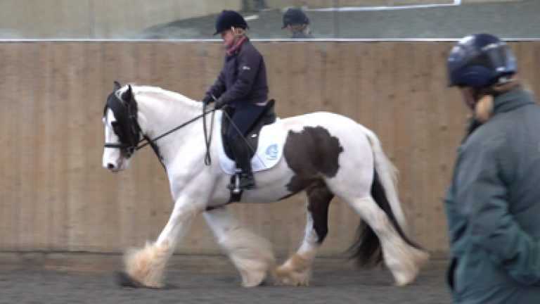 GTG_Sunny_1_Nav_block