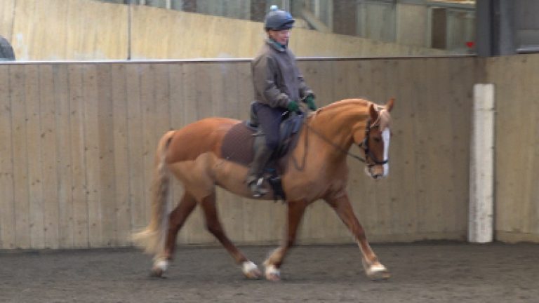 GTGa_Rosie_8b_Nav_block