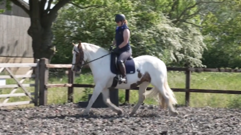 H&S-S003-RLR-nav-block