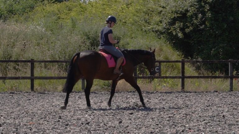 HStan-S001-RLR-nav-block_1.18.1