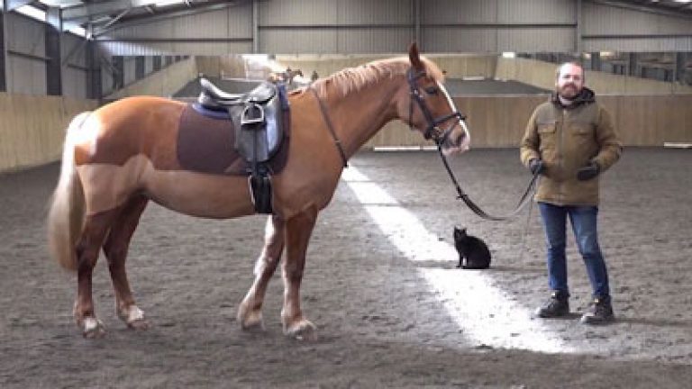 HandR_Assessment_Final