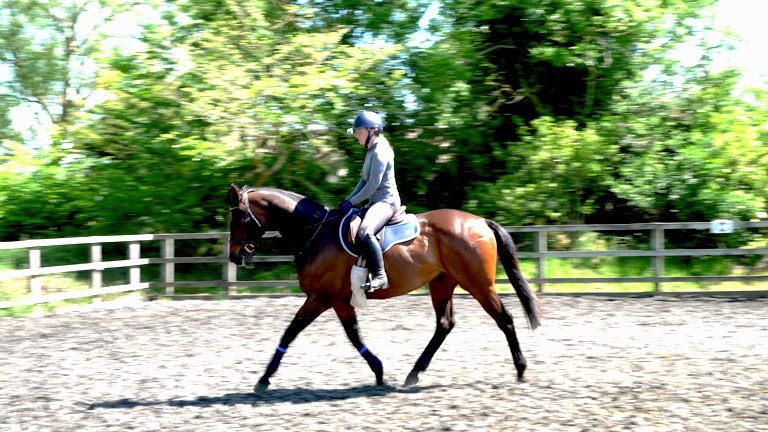 J&F-004-RLR-nav-block