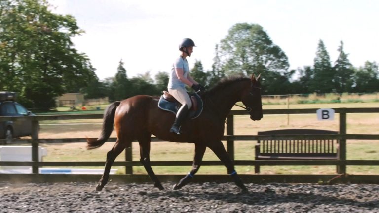 J&F-S001-RLR-nav-block