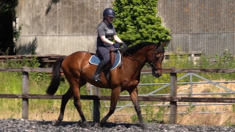 JG-S002-RLR-nav-block