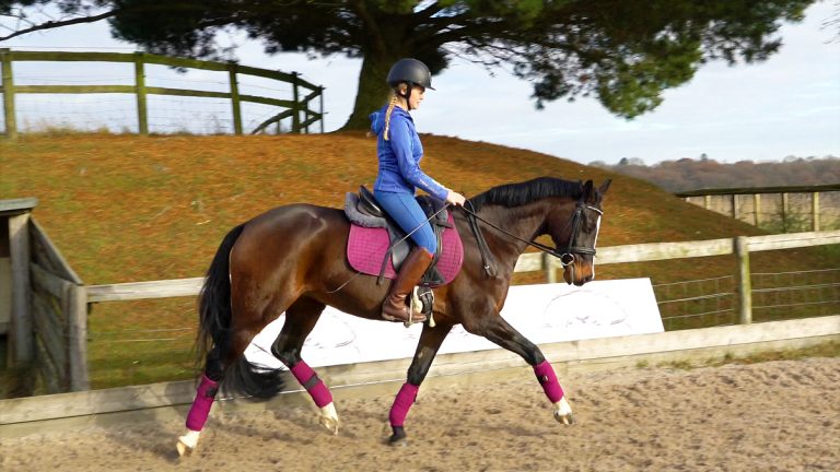 Milly_Ella_Difficult