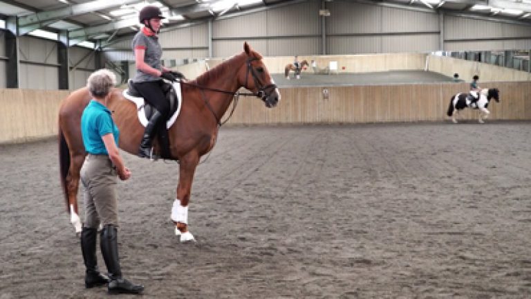 RBio_Extra1_Nav_block