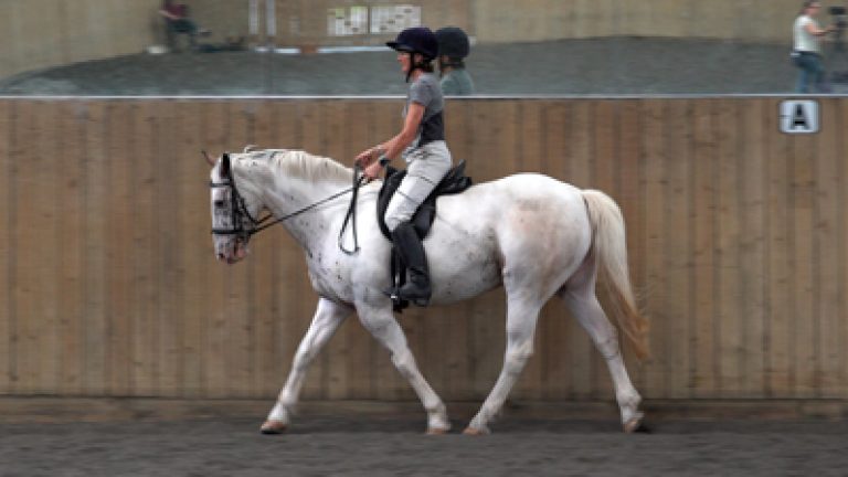 RLF-S&P-30_Nav_block