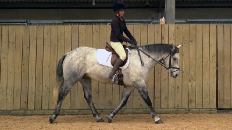 RLR-A-L&P-001_Nav_block