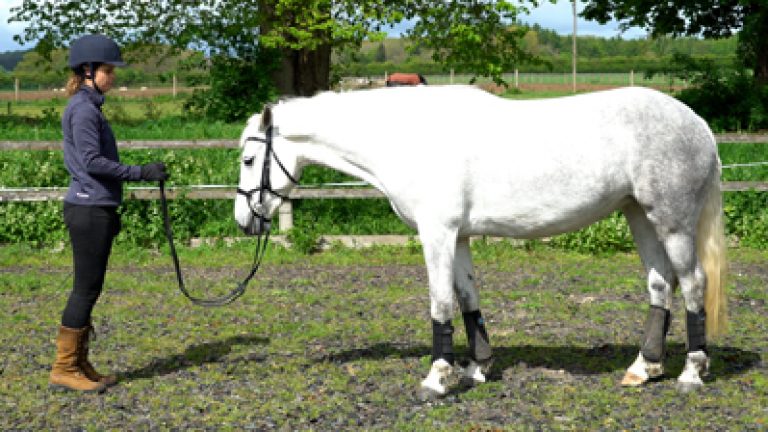 RLR-A&D-001_Nav_block