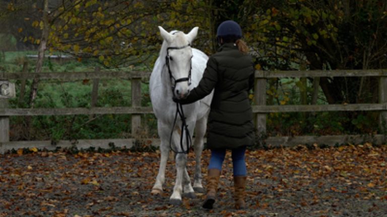 RLR-A&DS005_Nav_block