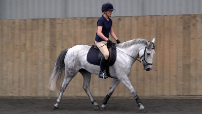 RLR-Bobby2_Nav_block