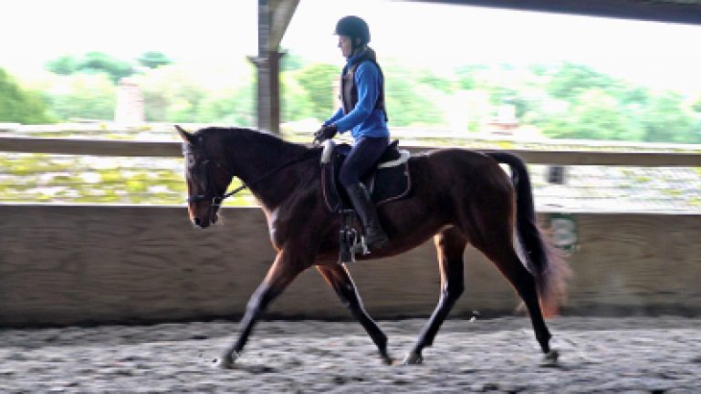 RLR-C&S-S32_Nav_block