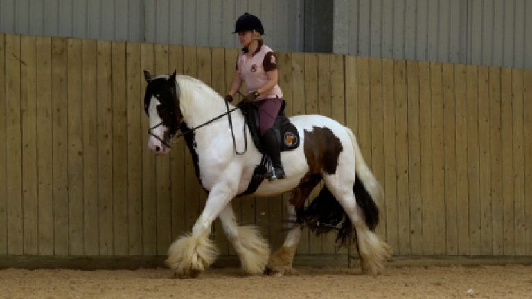 RLR-C&SUN-009_Nav_block