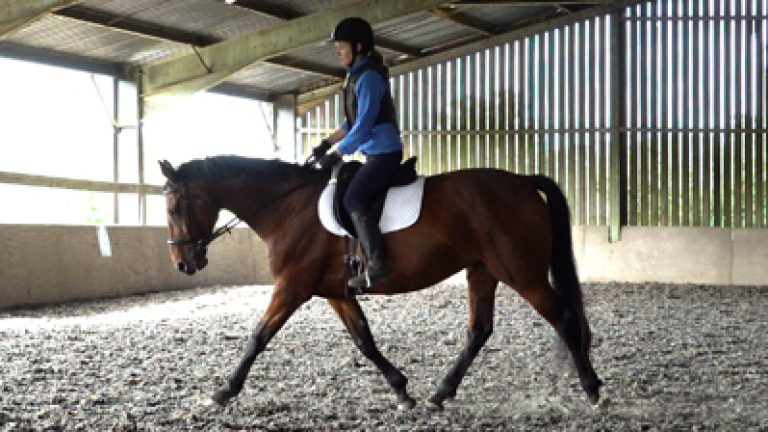 RLR-C&Sav-034_Nav_block