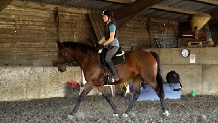 RLR-C&Sav-035_Nav_block