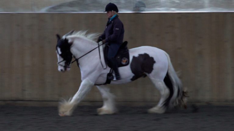 RLR-C&Sun-S5Nav_block