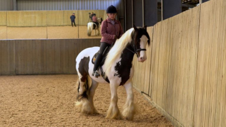 RLR-C&Sun11_Nav_block