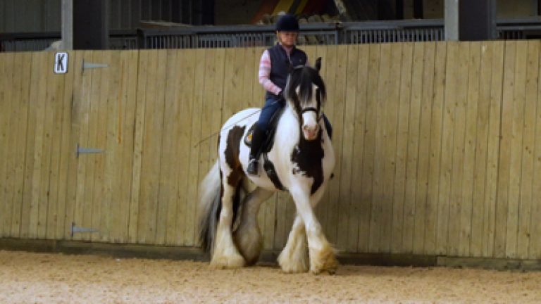 RLR-C&Sun12_Nav_block