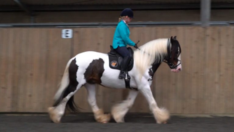 RLR-C&Sun4_Nav_block