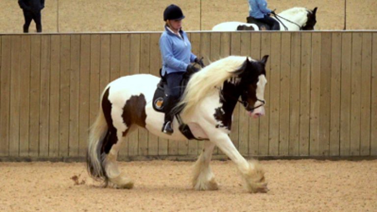 RLR-C&Sunny-008_Nav_block