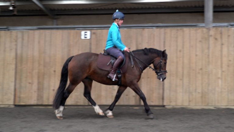 RLR-H&B-S1_Nav_block