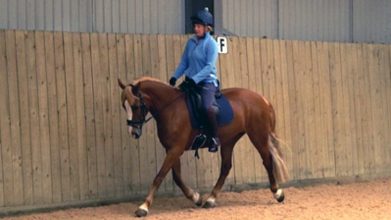 RLR-H&R-15_Nav_block