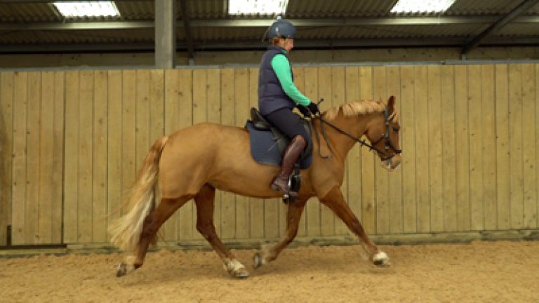 RLR-H&R-16_Nav_block