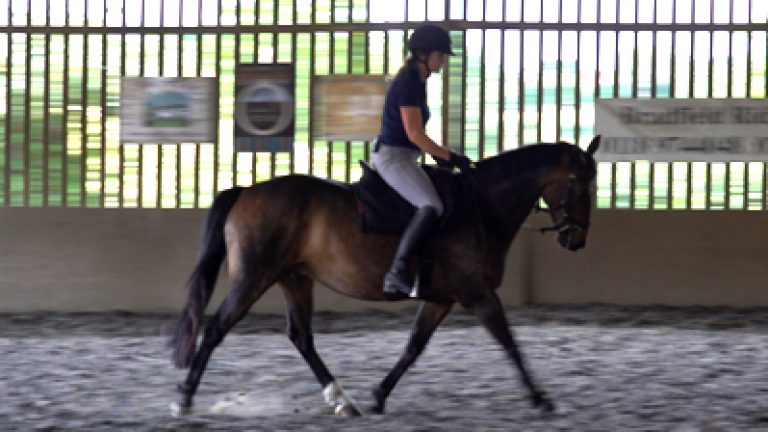 RLR-K&G211_Nav_block