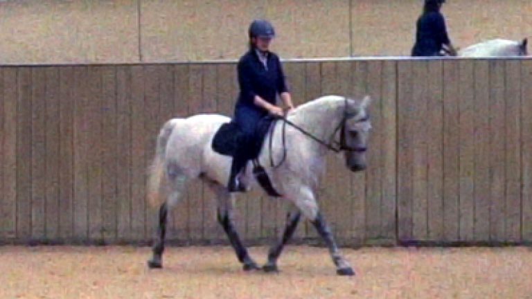 RLR-K&P-003_Nav_block