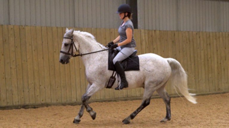 RLR-K&P-004_Nav_block