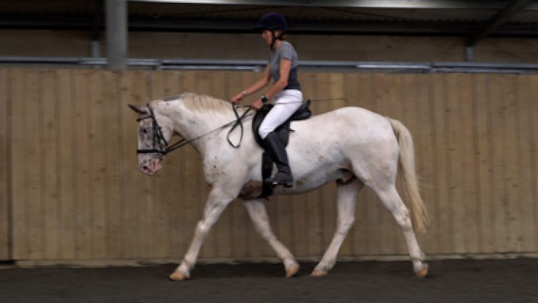 RLR-S&P-S32_Nav_block