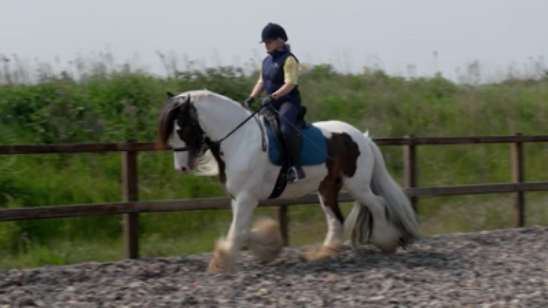 RLR_C&S-S015_Nav_block