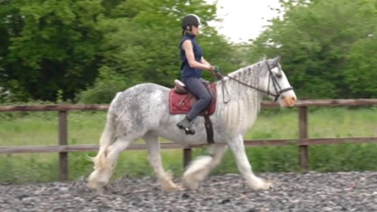 RLR_M&S_S001_Nav_block