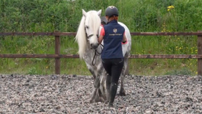 RLR_S001-G&Bailey_Nav_block