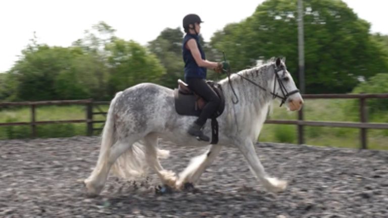 RLR_S002-M&S_Nav_block